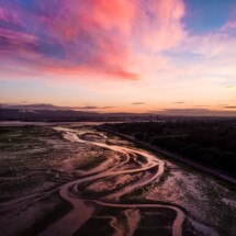Bull's Island, Dublin